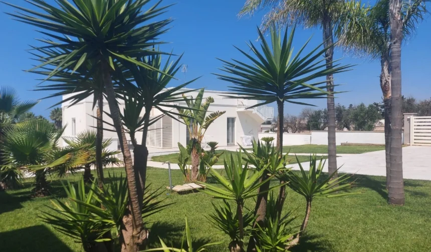 immagine giardino esterno